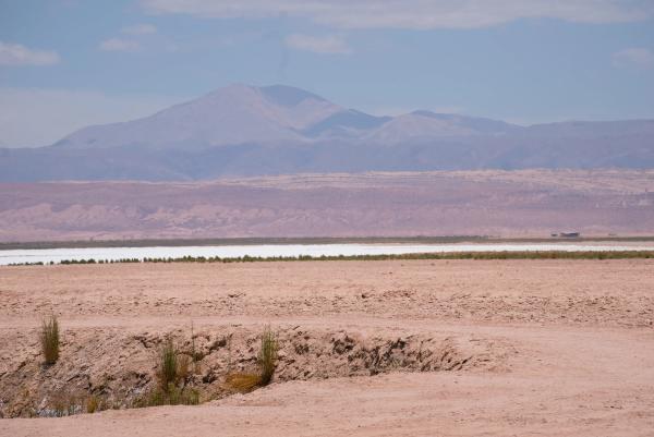 Atacama Desert