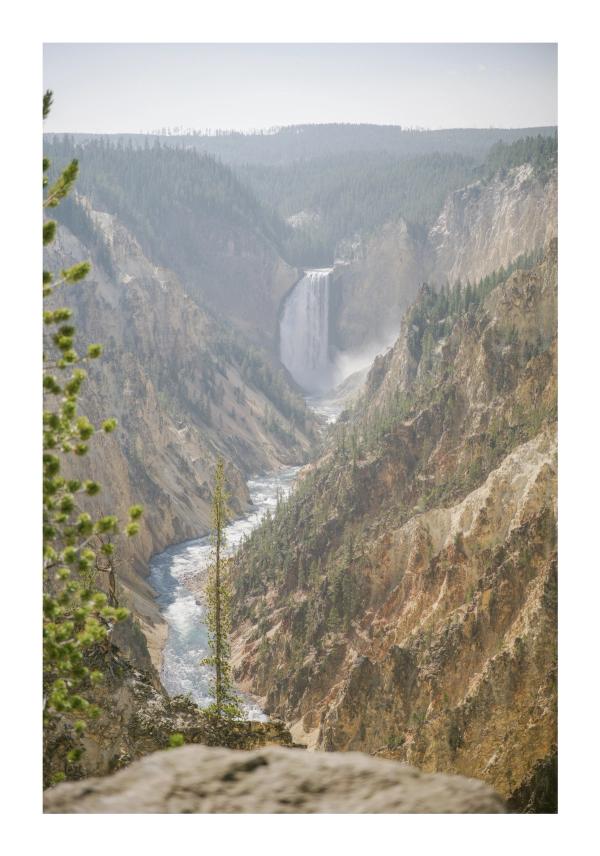 Yellowstone