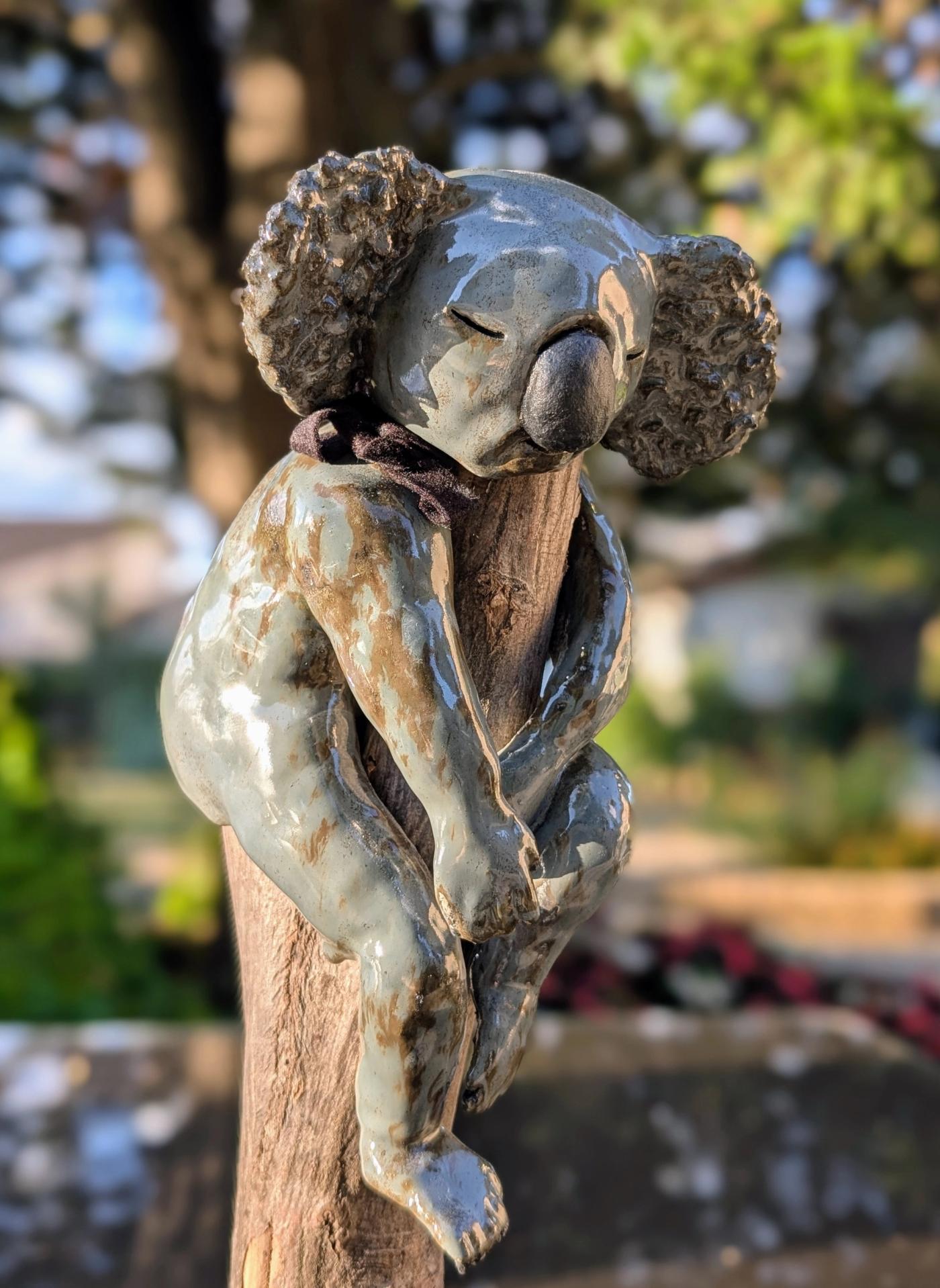 Koala ensommeillé