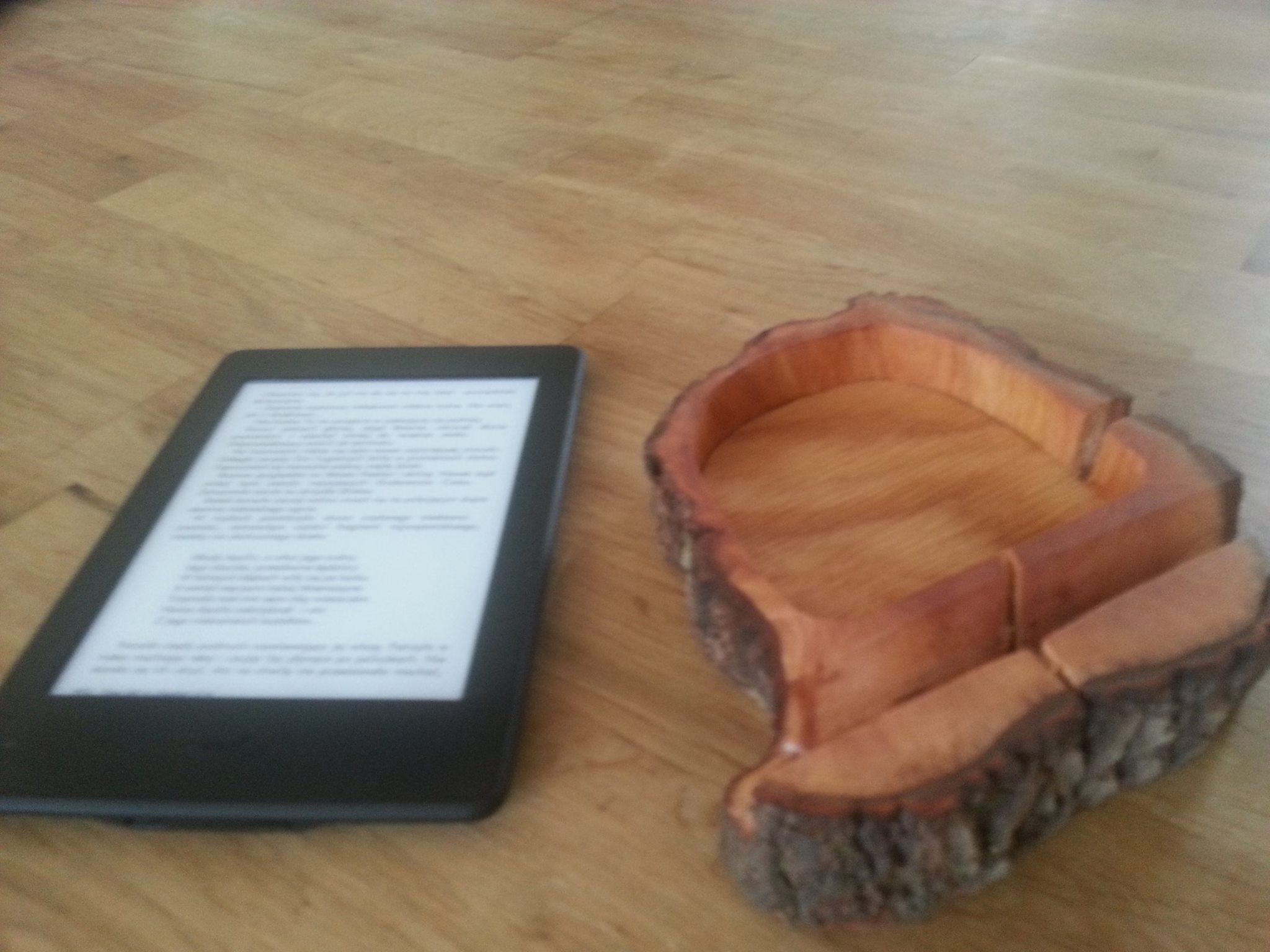 Kindle holder