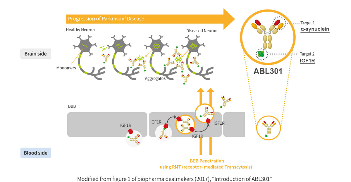 ABL Bio: A Biotech's Unconventional Path to Value Creation