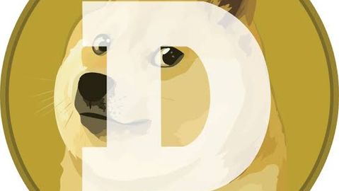 [크립토 파일] DOGE: 농담으로 시작한 코인이 일론 머스크를 만나 세상을 흔들었다