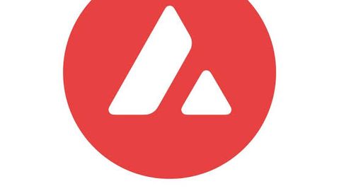 [크립토 파일] AVAX: 기업이 직접 블록체인을 만드는 시대, 아발란체가 그 인프라다
