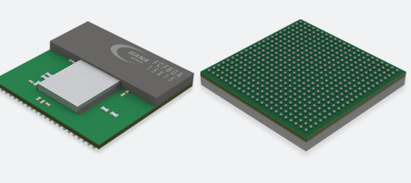 Hana Micron: Caught Between an AI Boom and a Succession Battle