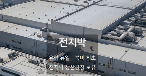 Solus Advanced Materials: Revenue Soars but Losses Deepen