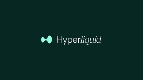 [크립토 파일] HYPE: 탈중앙화 1위, 그런데 위기 때마다 '중앙화적'이었다