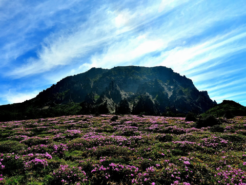 바람이 빚은 섬, 제주 여름의 끝에서 다시 만나다