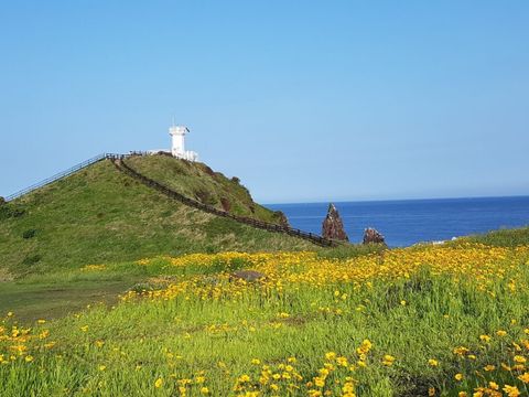 관광객 코스 말고, 현지인 동선으로 다녀왔다