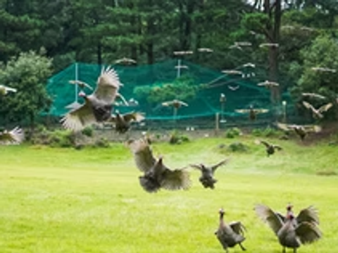 제주도, 아이와 함께라면 이런 곳
