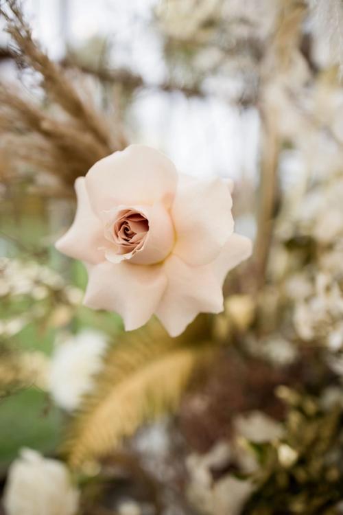 Faith and Cam's Glamorous Day at Jorgensen Farms Best Wedding Florist Ohio
