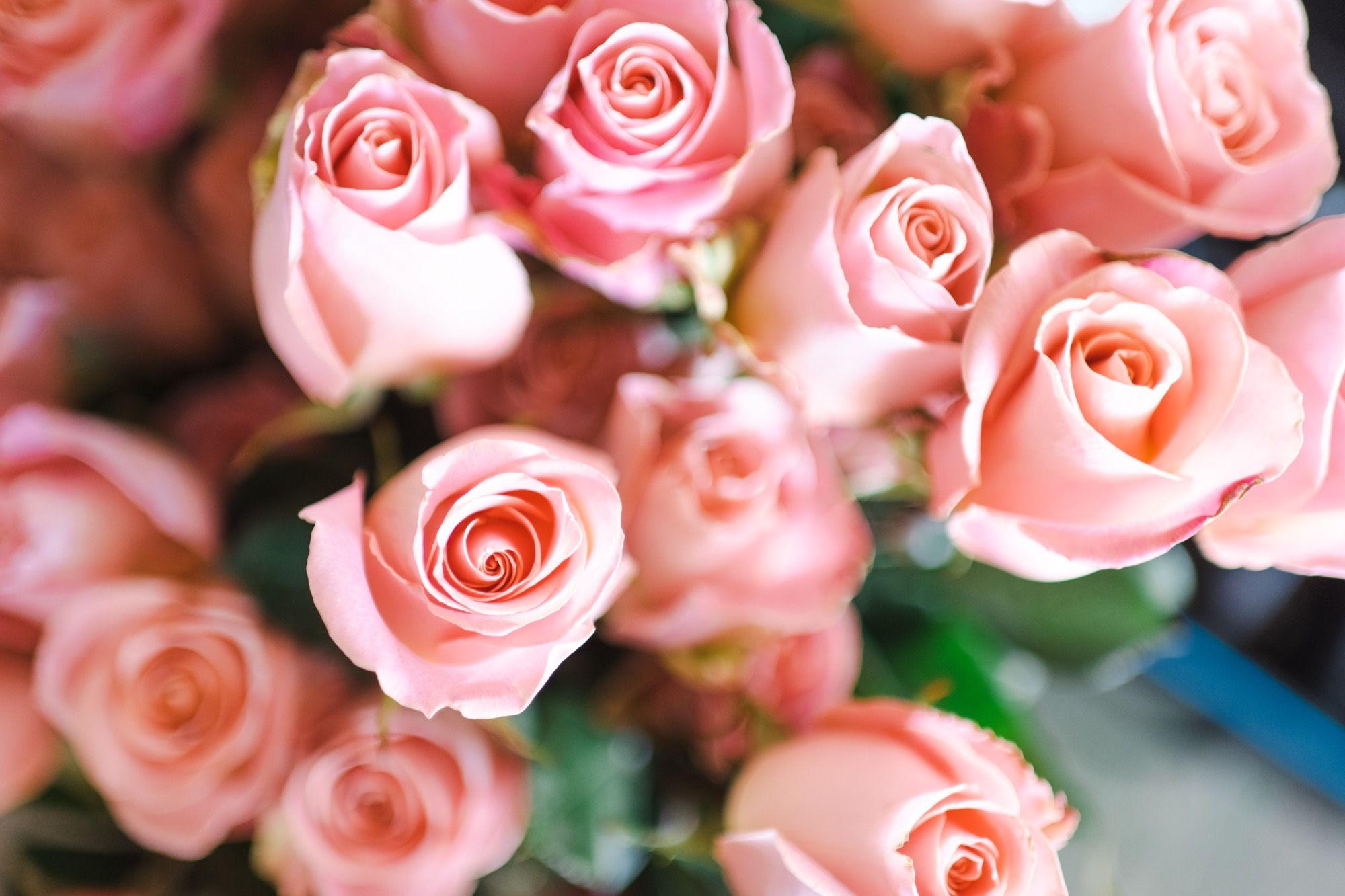 Our Team Best Wedding Florist Ohio