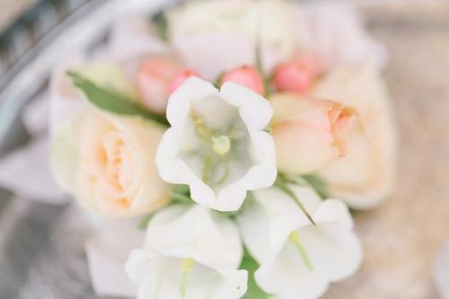 Sunny Pastels at Jorgensen Farms Best Wedding Florist Ohio