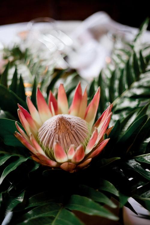 Modern Tropical Florals for Ben & Paulina at High Line Car House Best Wedding Florist Ohio