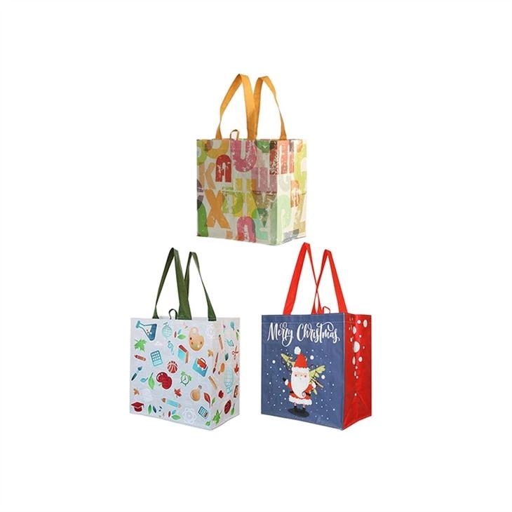 Small Stylish Reusable Gift Handbag