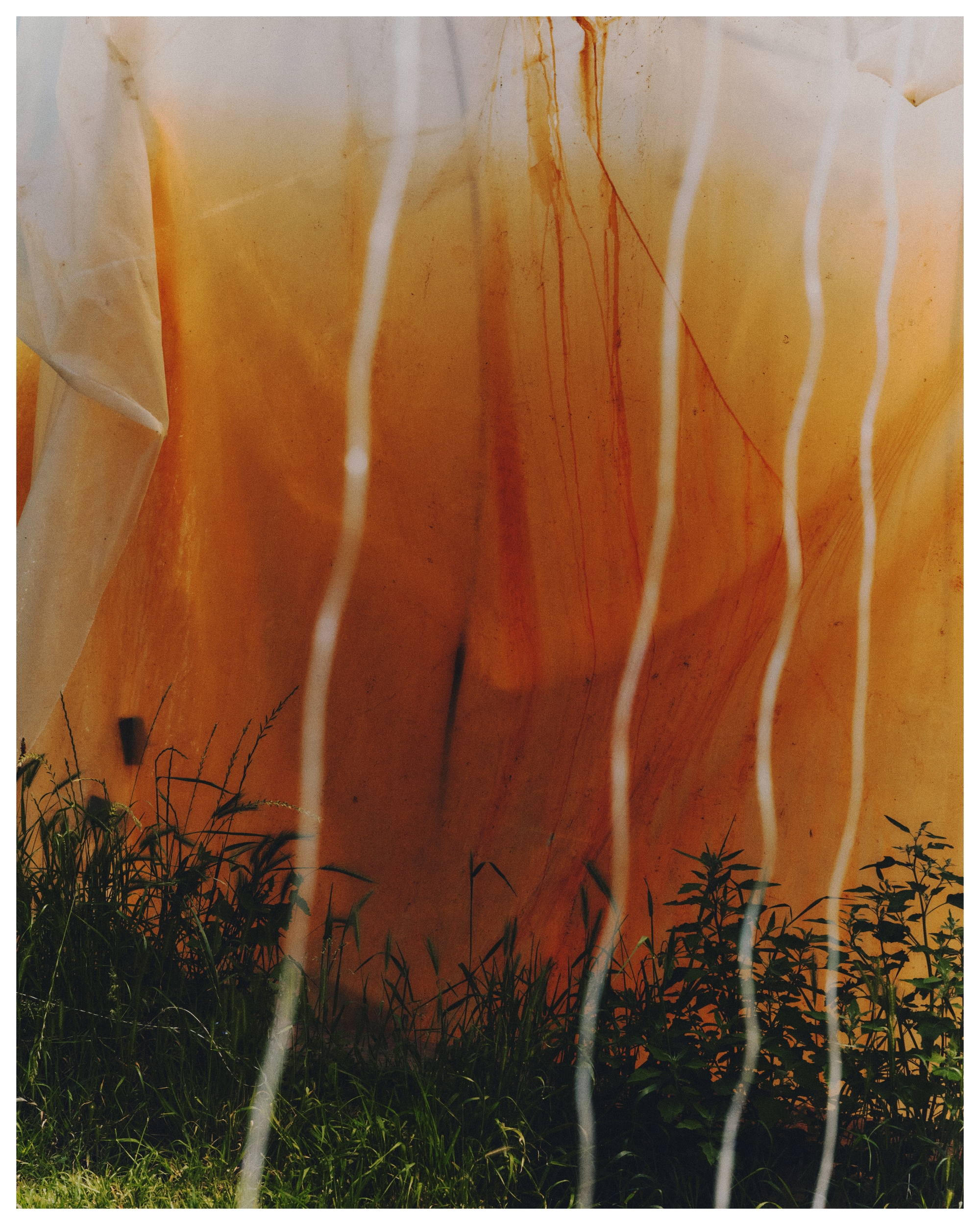 Carrousel Project Home