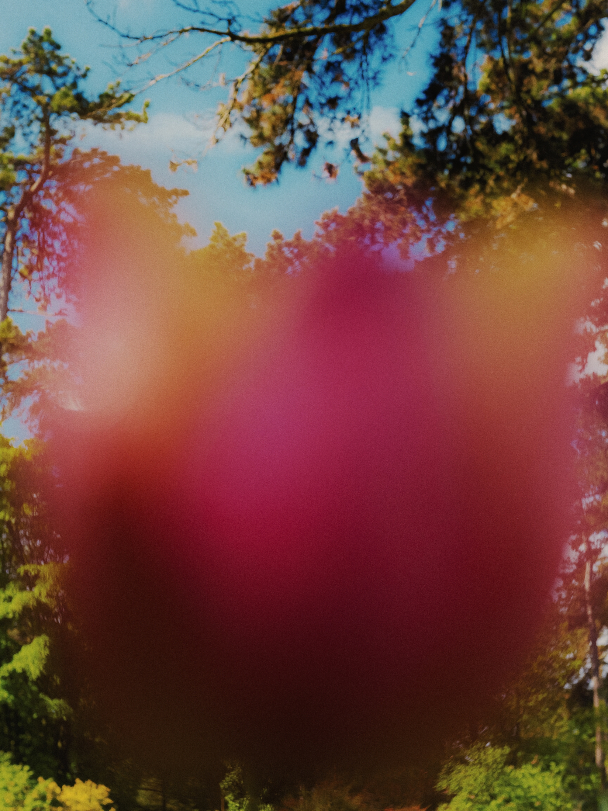 Carrousel Project Home