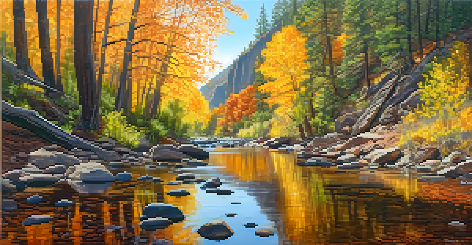 A serene autumn view of West Fork Trail in Oak Creek Canyon, with colorful leaves and a flowing creek.