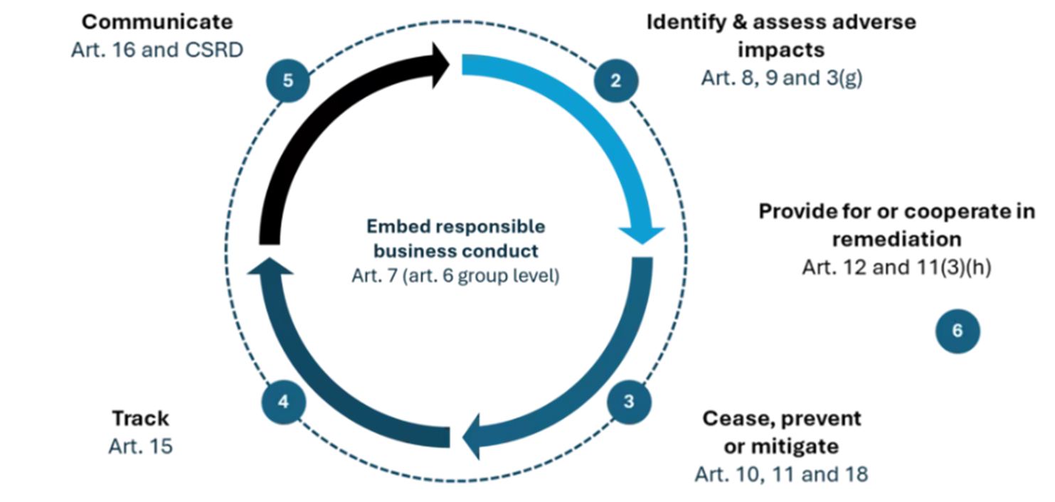 De Corporate Sustainability Due Diligence Directive (CSDDD)