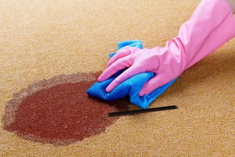 Carpet steam cleaning equipment on a commercial job