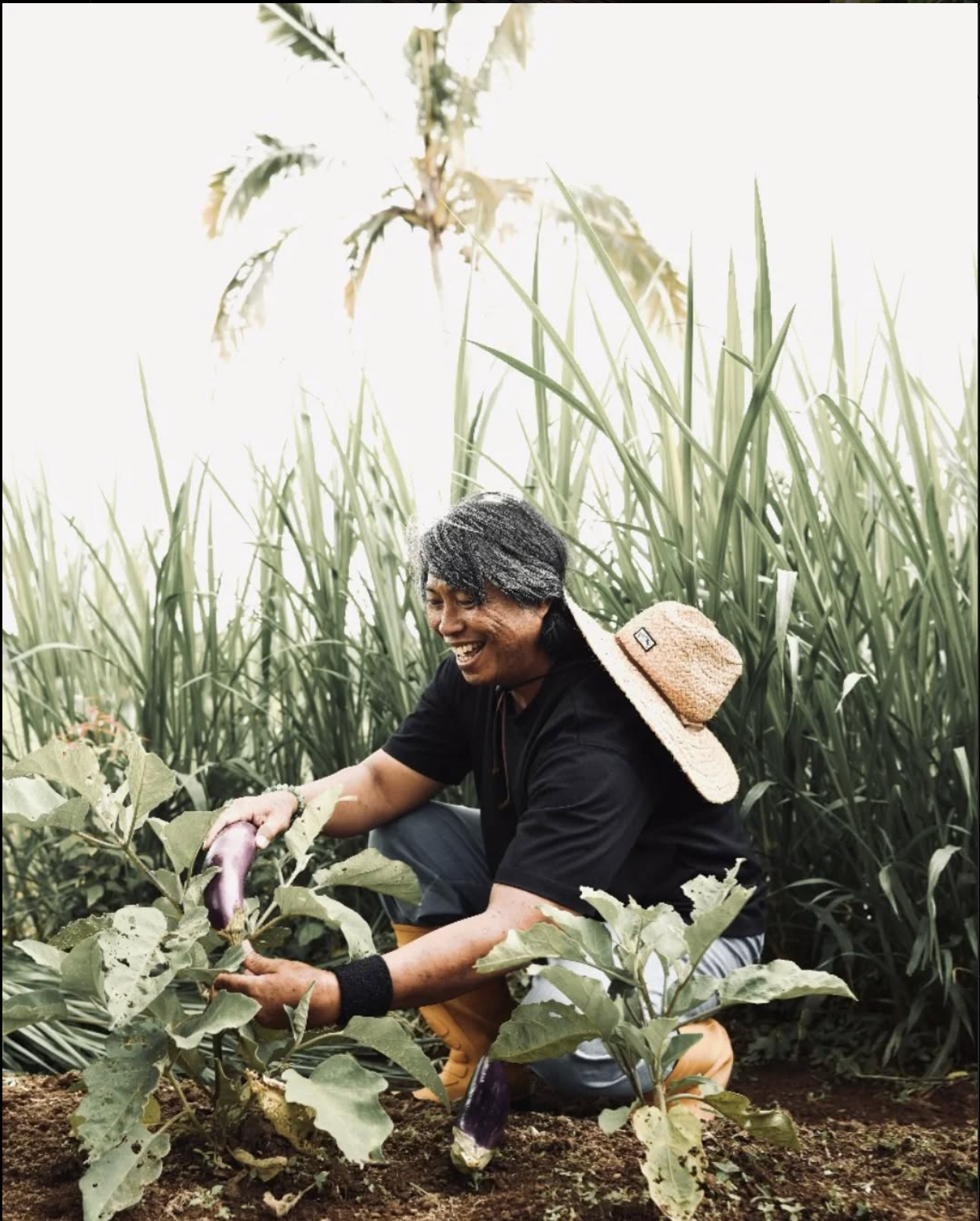Samm's Living Farm