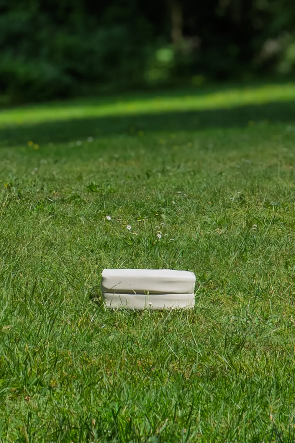 The Field Cushion