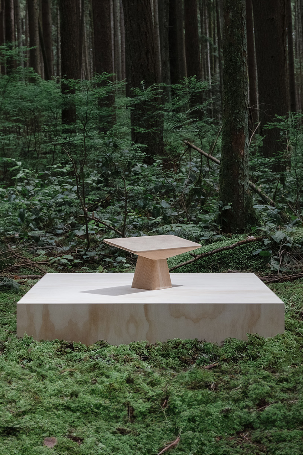 The Meditation Bench