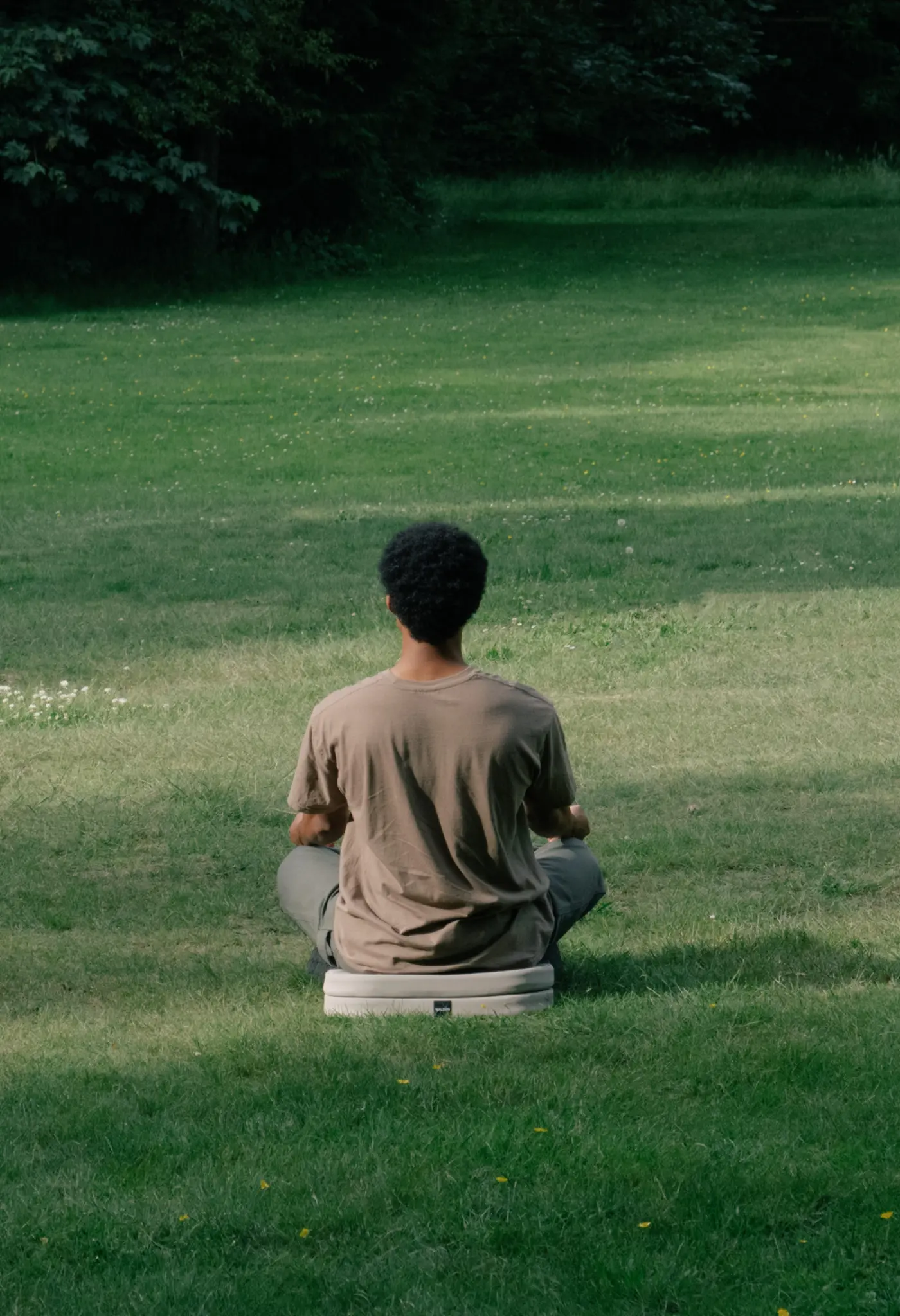 The Field Cushion