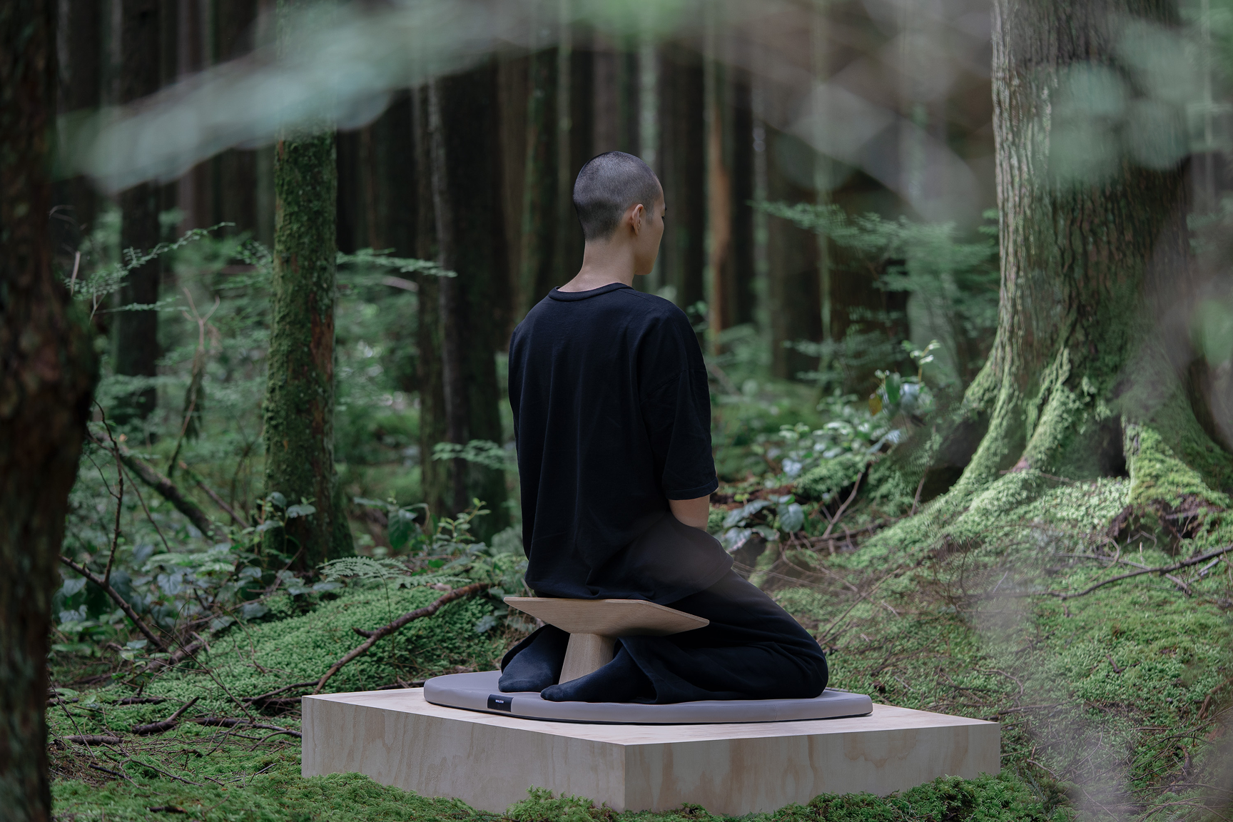 The Meditation Bench