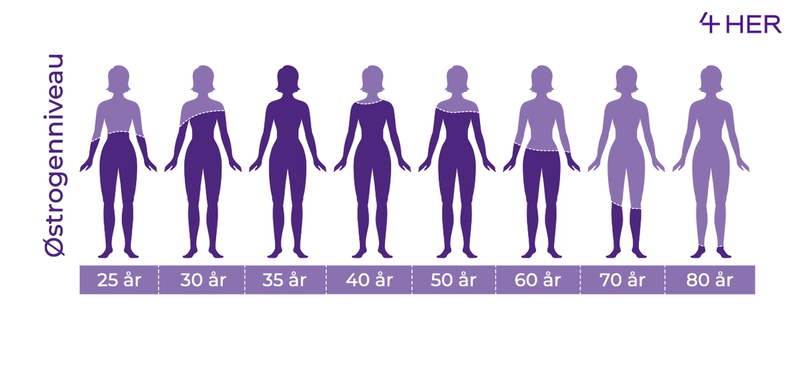 Illustration af kvinders østrogenmængde gennem de forskellige årtier