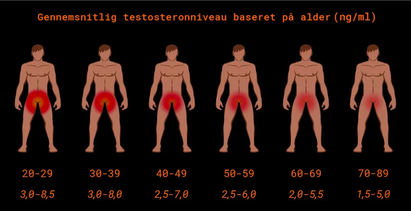 Træthed kan skyldes faldende testosteron. Billede viser testosteronniveauer for forskellige aldersgrupper.