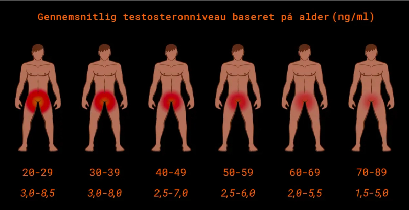 Træthed kan skyldes faldende testosteron. Billede viser testosteronniveauer for forskellige aldersgrupper.
