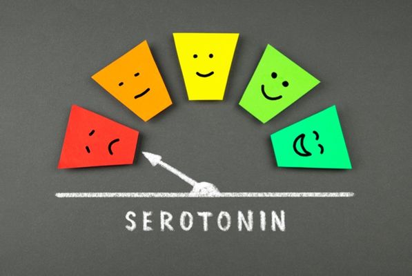 Illustration af sammenhængen mellem serotonin og humør.