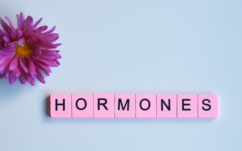 Bild på blomma och bokstavsbrickor med ordet: Hormoner