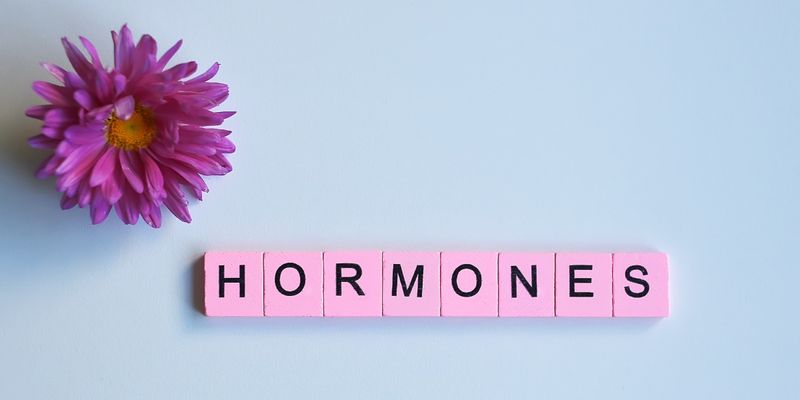 Bilde av blomst og bokstavbrikker med ordet: Hormoner