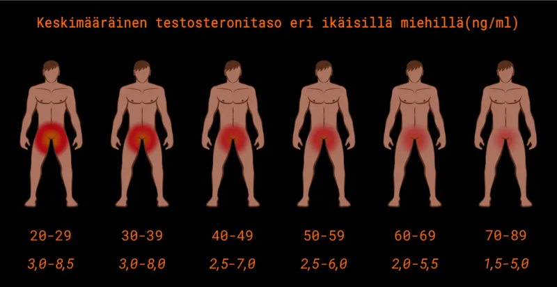 Miesten testosteronitasot eri ikävaiheissa