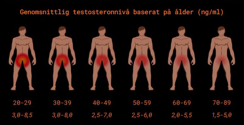 Övergångsålder för män - översikt över minskande testosteronnivåer med åldern