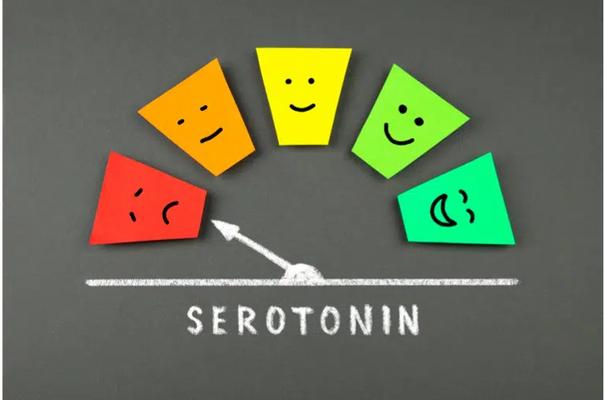 Serotonin merkitys kuvattuna mittarissa