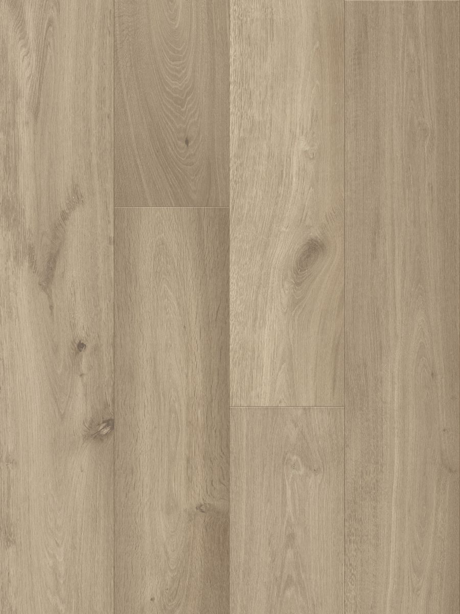 Royal Beige engineered european oak flooring colour and grain sample.
