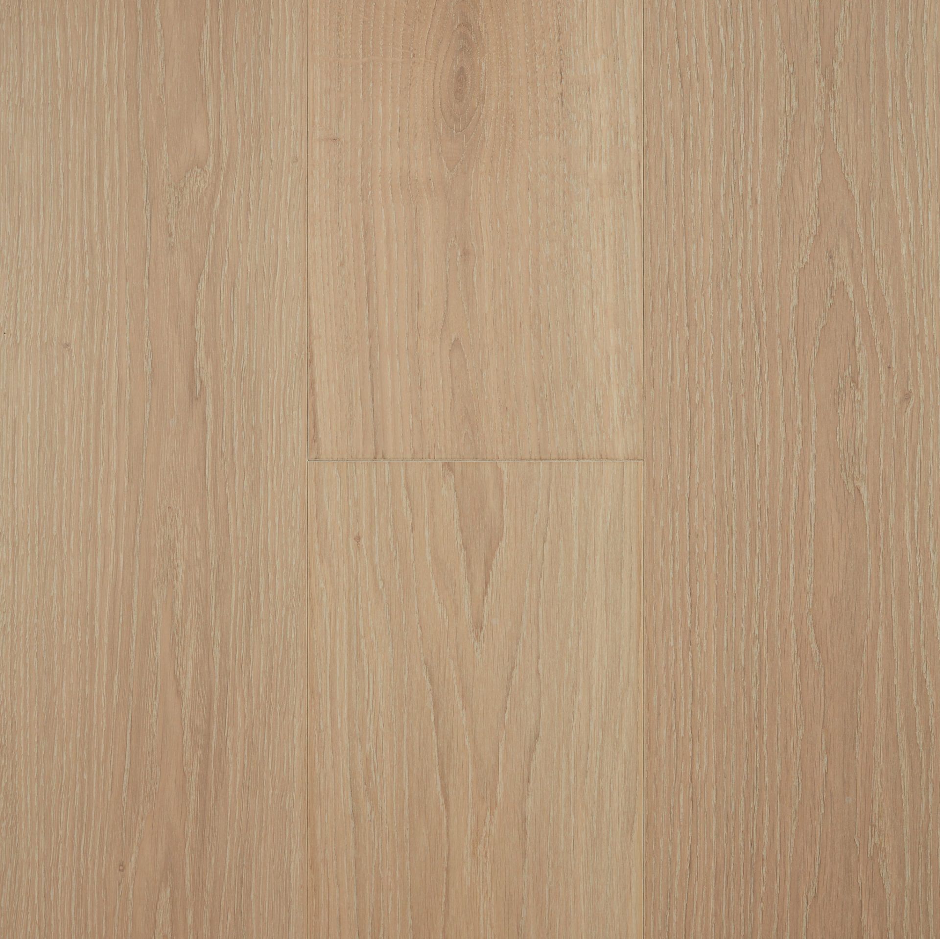 Beacon Cove engineered European Oak flooring colour and grain sample.