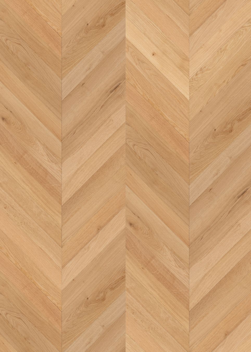 Chevron Maison Beige engineered European oak flooring colour and grain sample