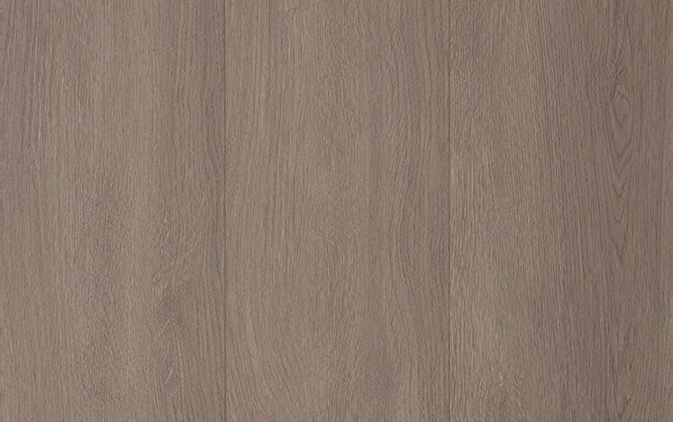 Laminate Mushroom Grey 12mm timber-look flooring swatch