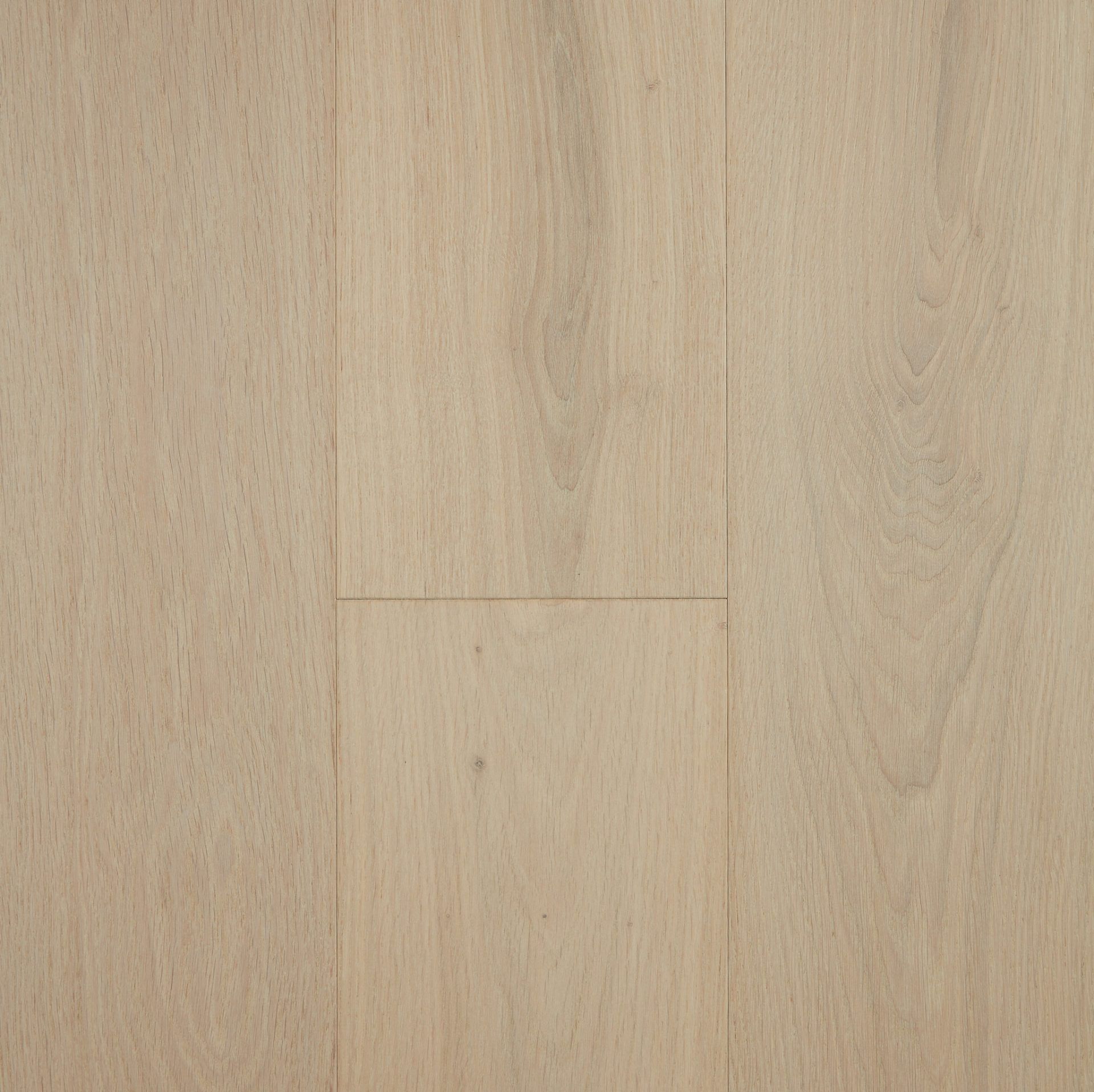 Pebble Reef engineered European Oak flooring colour and grain sample.