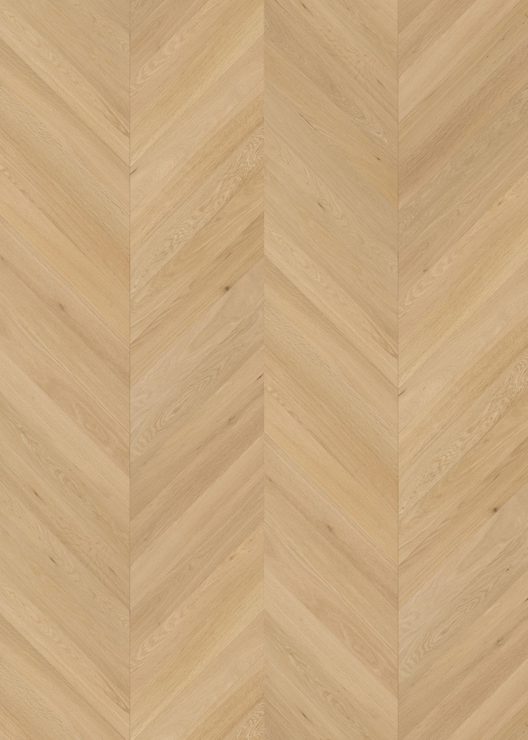 Chevron Tinge Clay engineered European oak flooring colour and grain sample