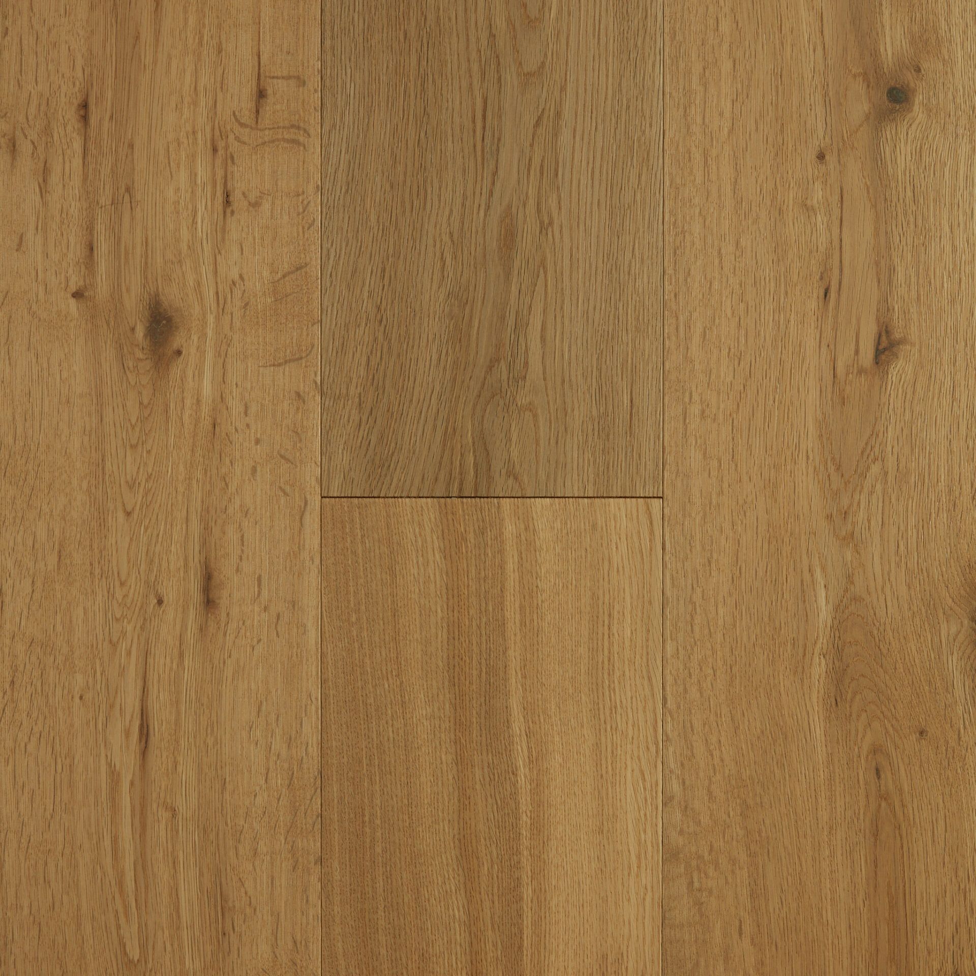 Latte engineered European Oak flooring colour and grain sample.