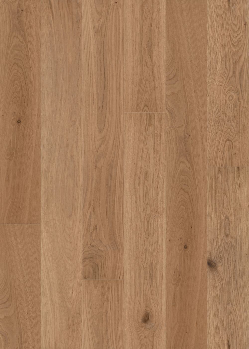 Fawn Oak engineered european oak flooring colour and grain sample.
