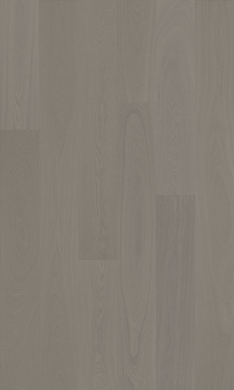 Dover 190mm Plank engineered european ash flooring colour and grain sample.