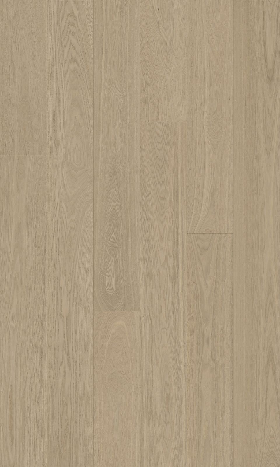 Florence engineered european ash flooring colour and grain sample.