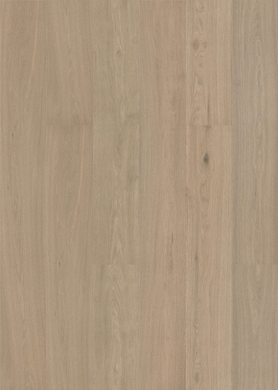 Terrace Grey engineered european oak flooring colour and grain sample.