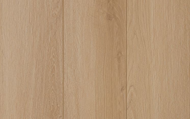 Laminate Morning Light 12mm timber-look flooring swatch