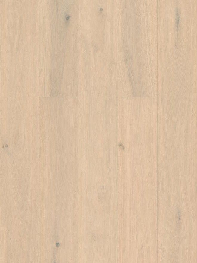 Cream White engineered european oak flooring colour and grain sample.